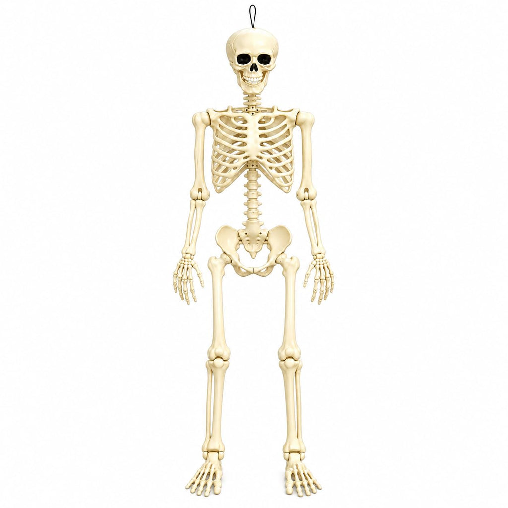Posable Halloween Skeleton T9322
