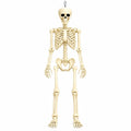 Posable Halloween Skeleton T9322