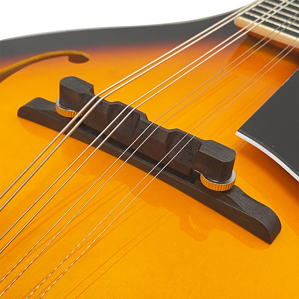 A-Style 8 String Mahogany Acoustic Mandolin V15625
