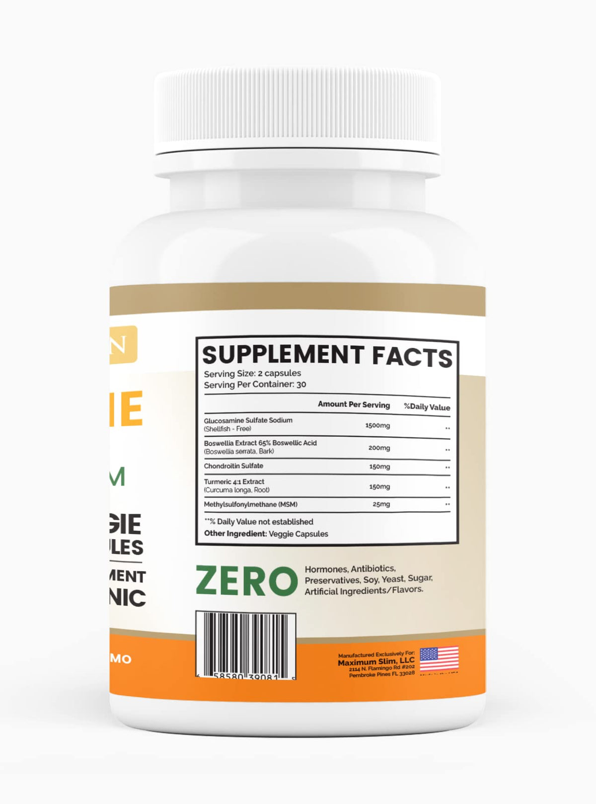 Glucosamine Chondroitin Turmeric MSM 60 Veggie Capsules P761