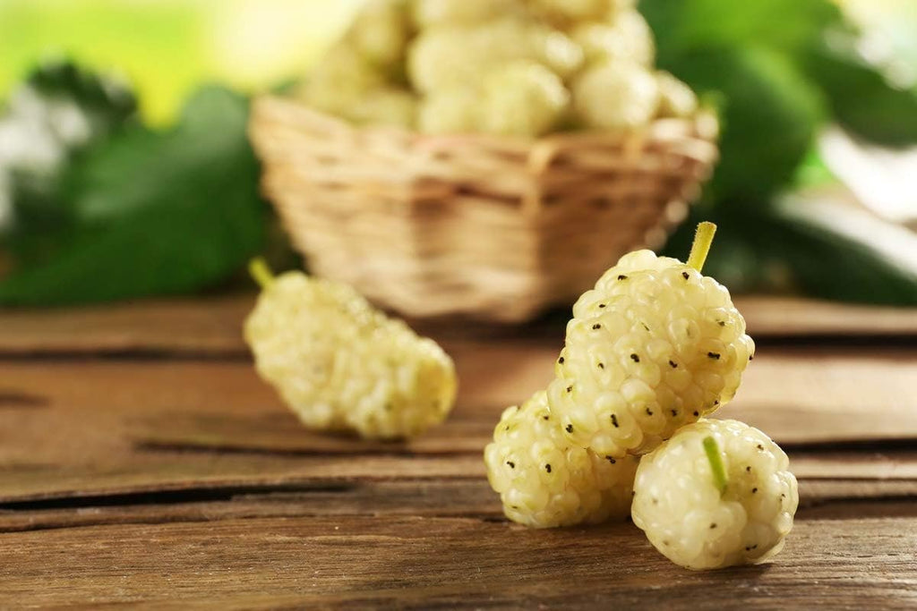 Organic Dried White Mulberries 8 Ounces S69774