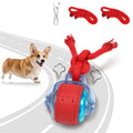 Interactive Rolling Dog Toys with Rope K138