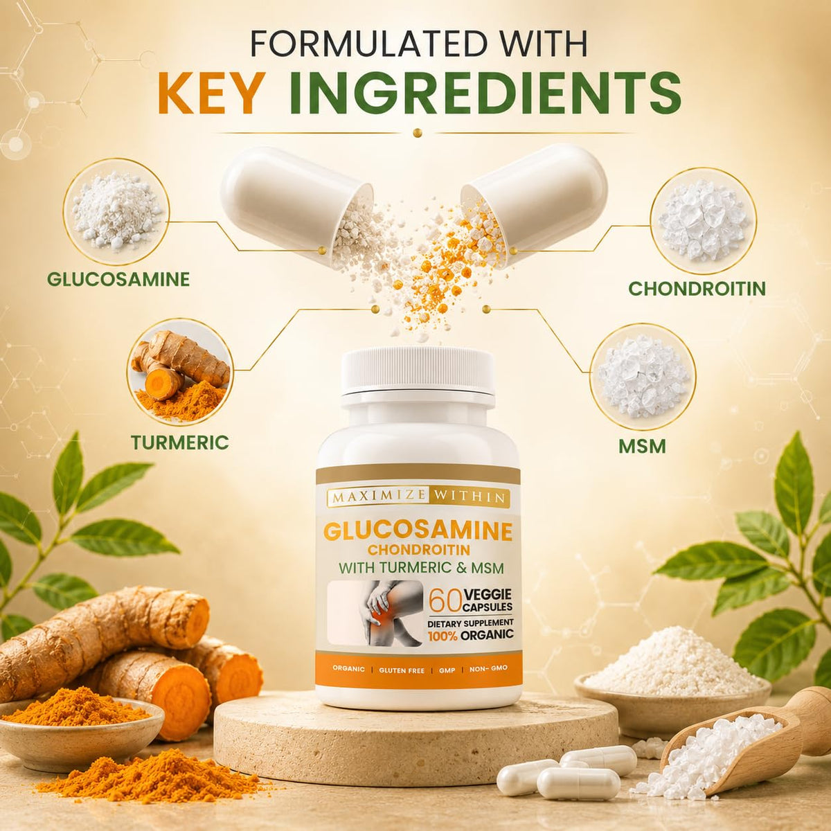 Glucosamine Chondroitin Turmeric MSM 60 Veggie Capsules P761