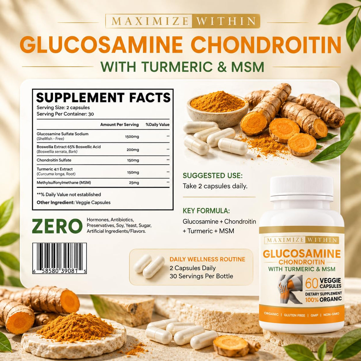 Glucosamine Chondroitin Turmeric MSM 60 Veggie Capsules P761