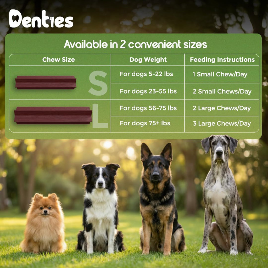 Dental Chews for Small Dogs 16 oz 35 Treats W838