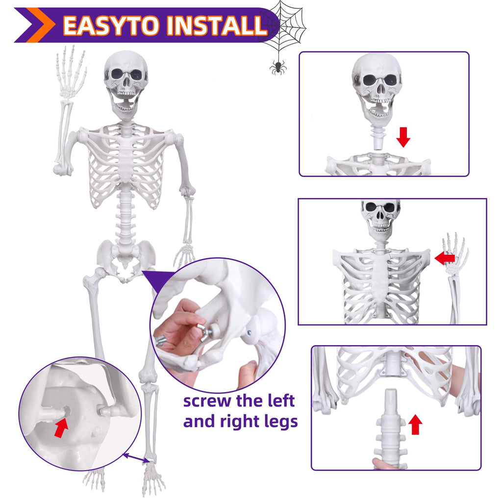 5.4Ft Posable Life Size Skeletons with Movable Joints S526011