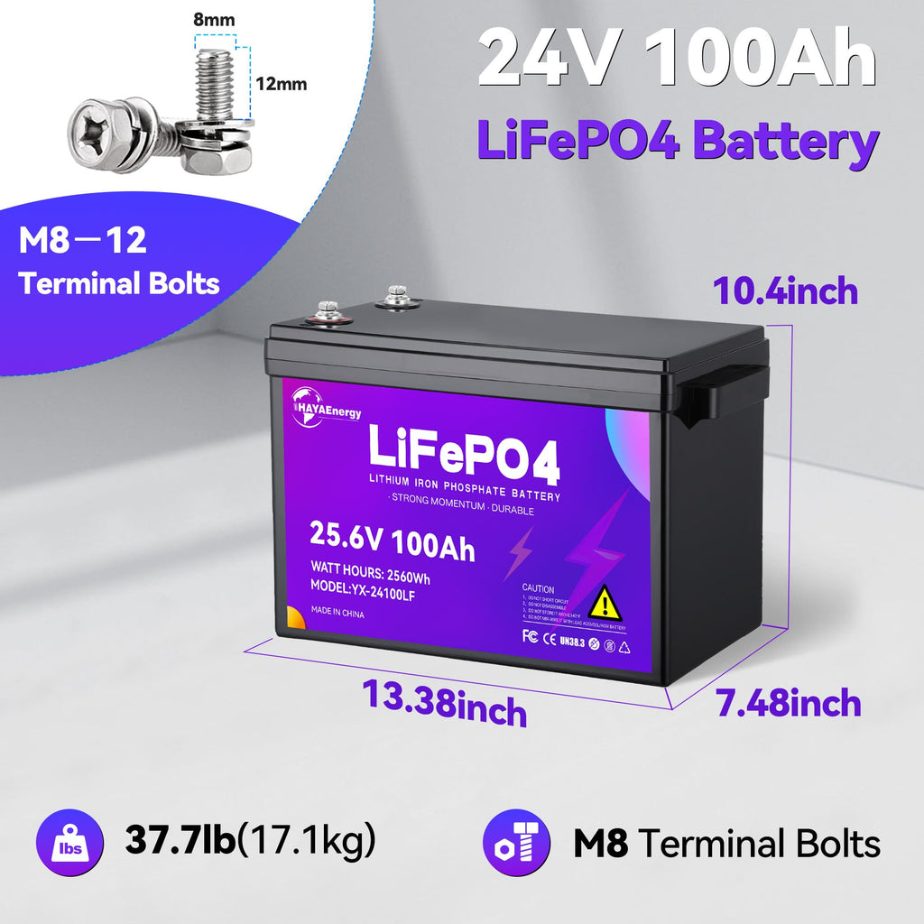24v 100ah LiFePO4 Lithium Battery with 100A BMS T684701