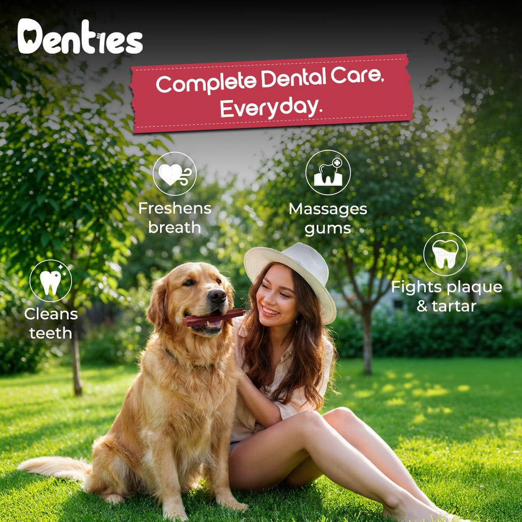 Dental Chews for Small Dogs 16 oz 35 Treats W838