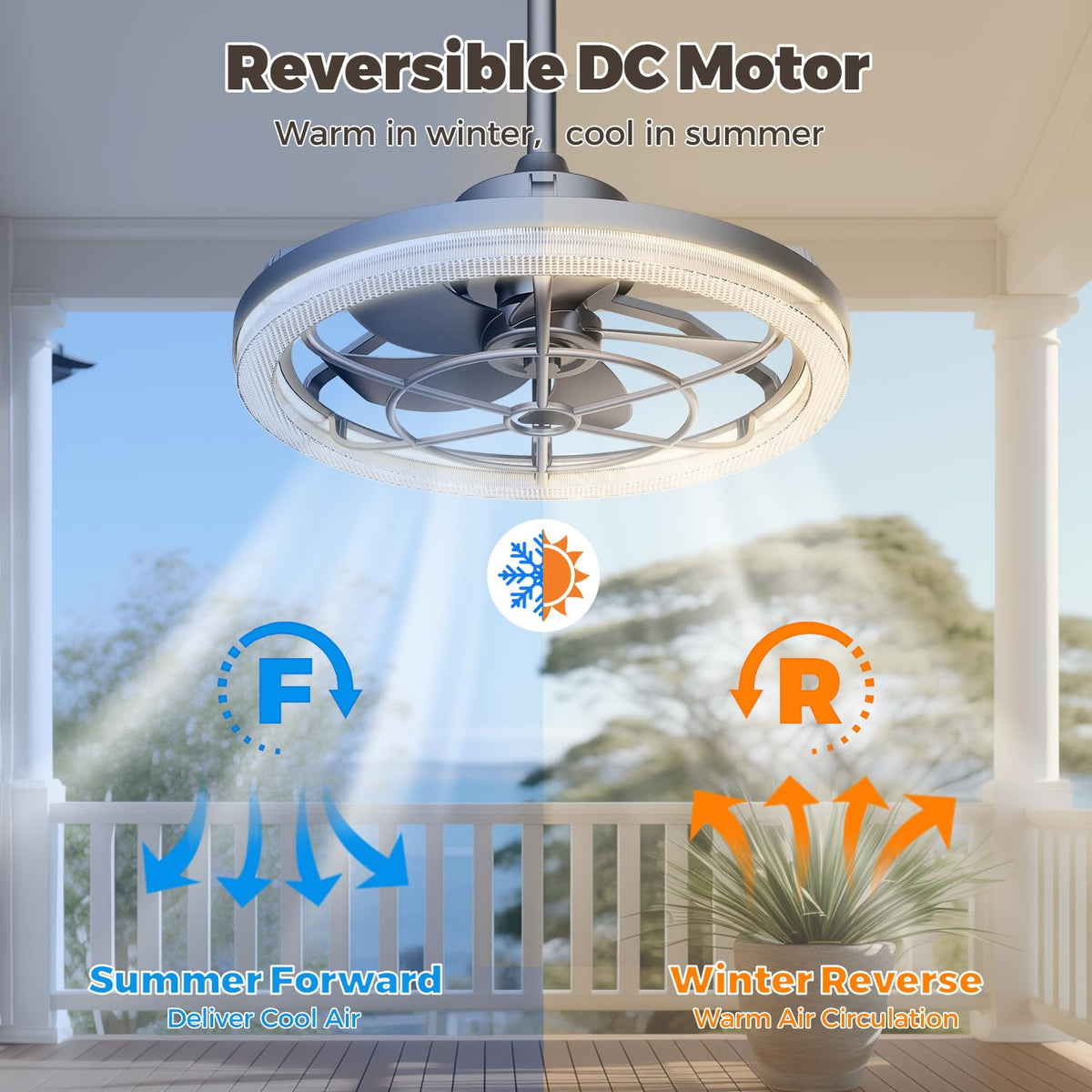 20" Outdoor Ceiling Fan with Light Y75356