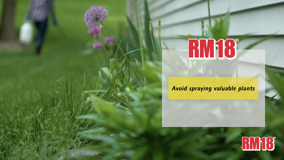 Fast-Acting Weed & Grass Killer Herbicide Spray 1-gallon H453
