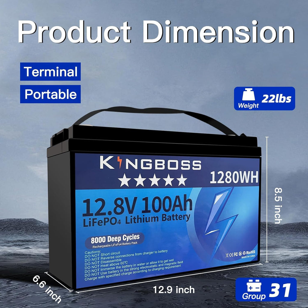 12V 100Ah LiFePO4 Lithium Battery with 100A Smart BMS F818