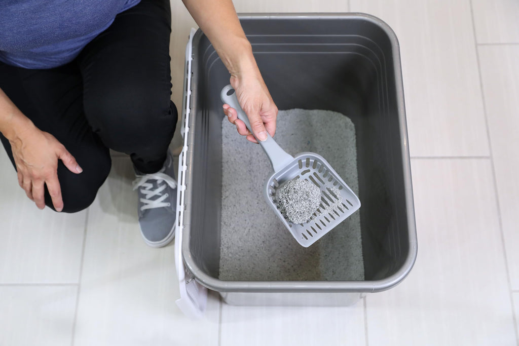Enclosed Cat Litter Box with Hinged Lid V710032