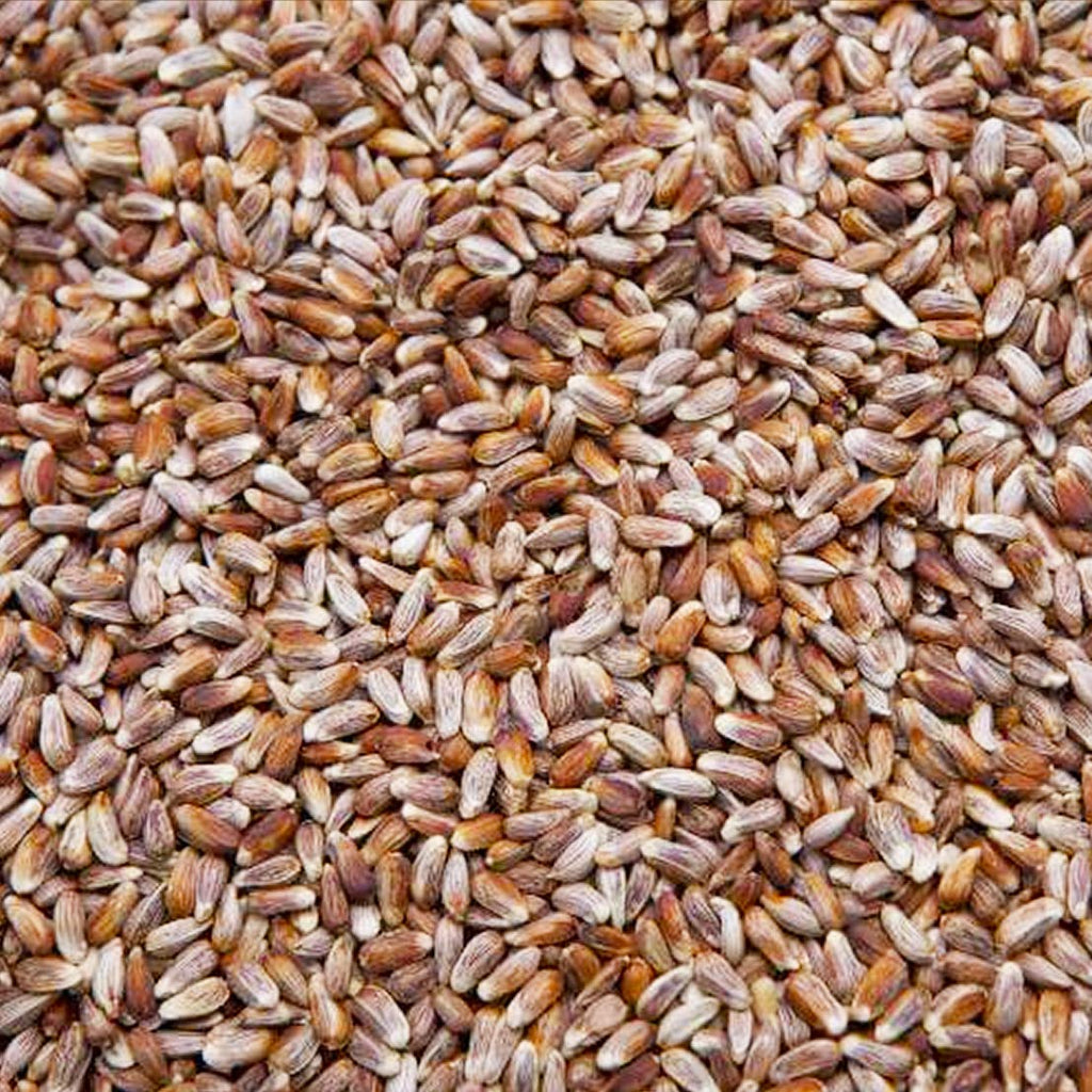 Safflower Seed Wild Bird Food R878