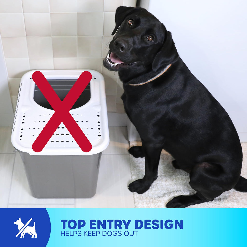 Enclosed Cat Litter Box with Hinged Lid V710032