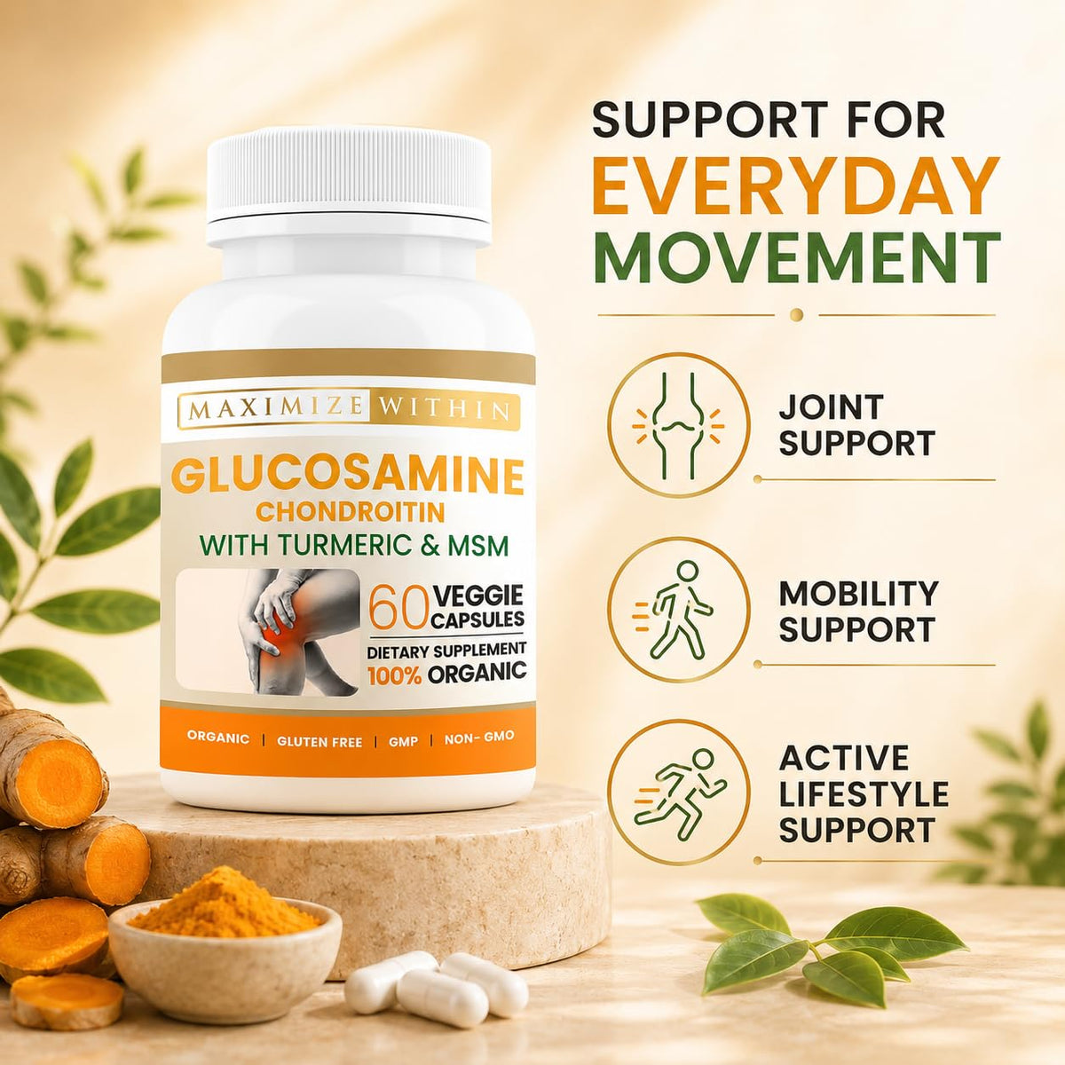 Glucosamine Chondroitin Turmeric MSM 60 Veggie Capsules P761