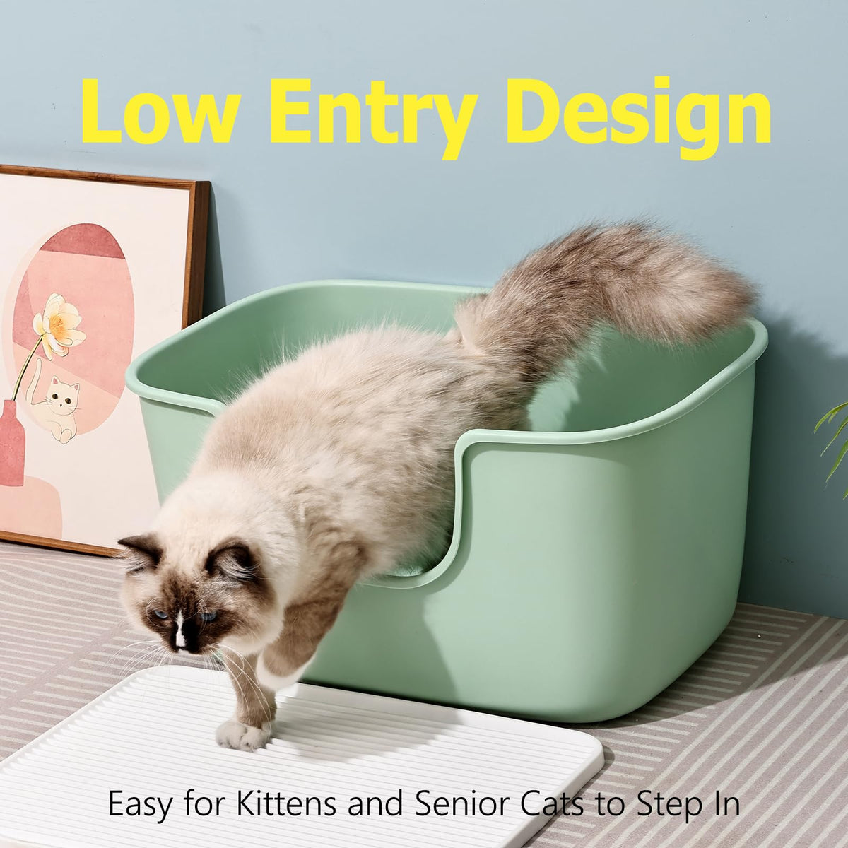 Extra Large Low Entry Cat Litter Box with High Sides O548753