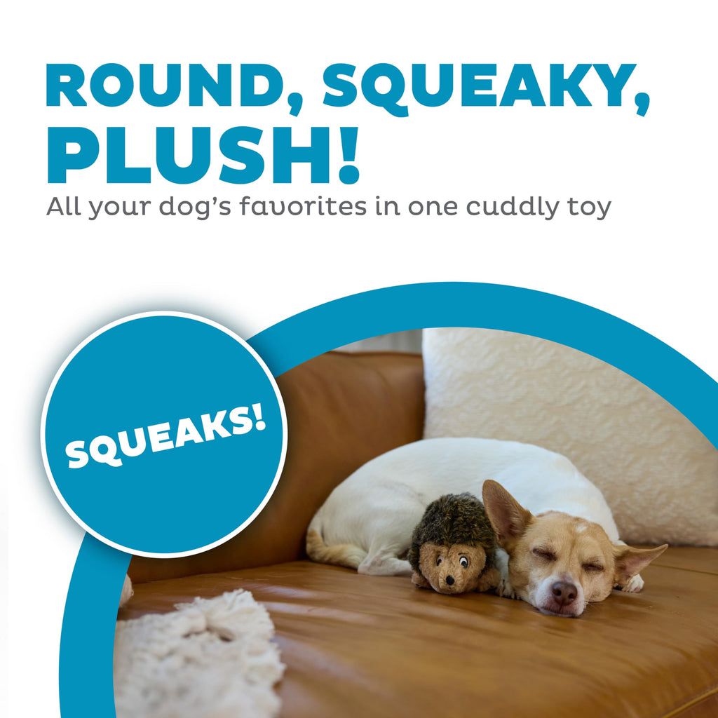Plush Dog Toy P25046