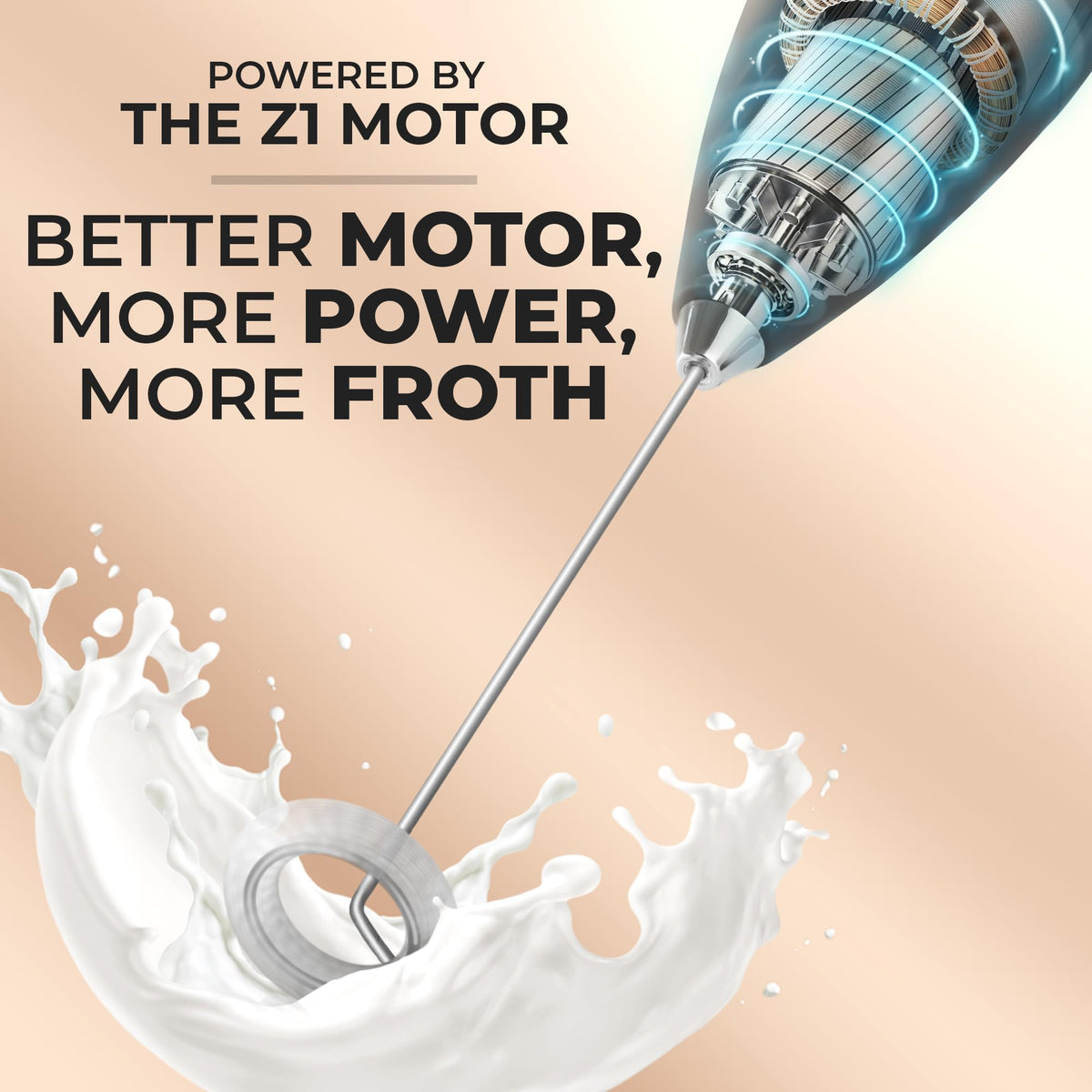 Black Handheld Electric Milk Frother F210