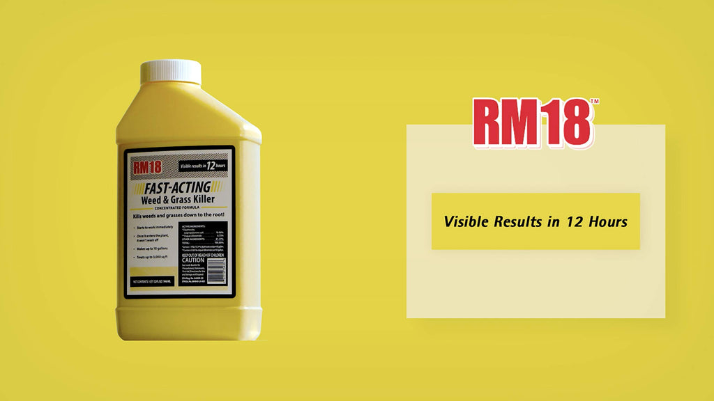 Fast-Acting Weed & Grass Killer Herbicide Spray 1-gallon H453