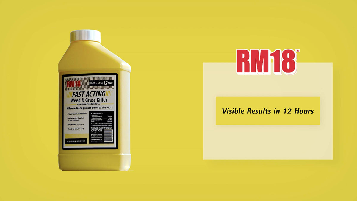 Fast-Acting Weed & Grass Killer Herbicide Spray 1-gallon H453