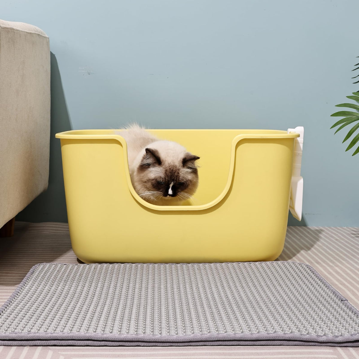 Extra Large Low Entry Cat Litter Box with High Sides O548753