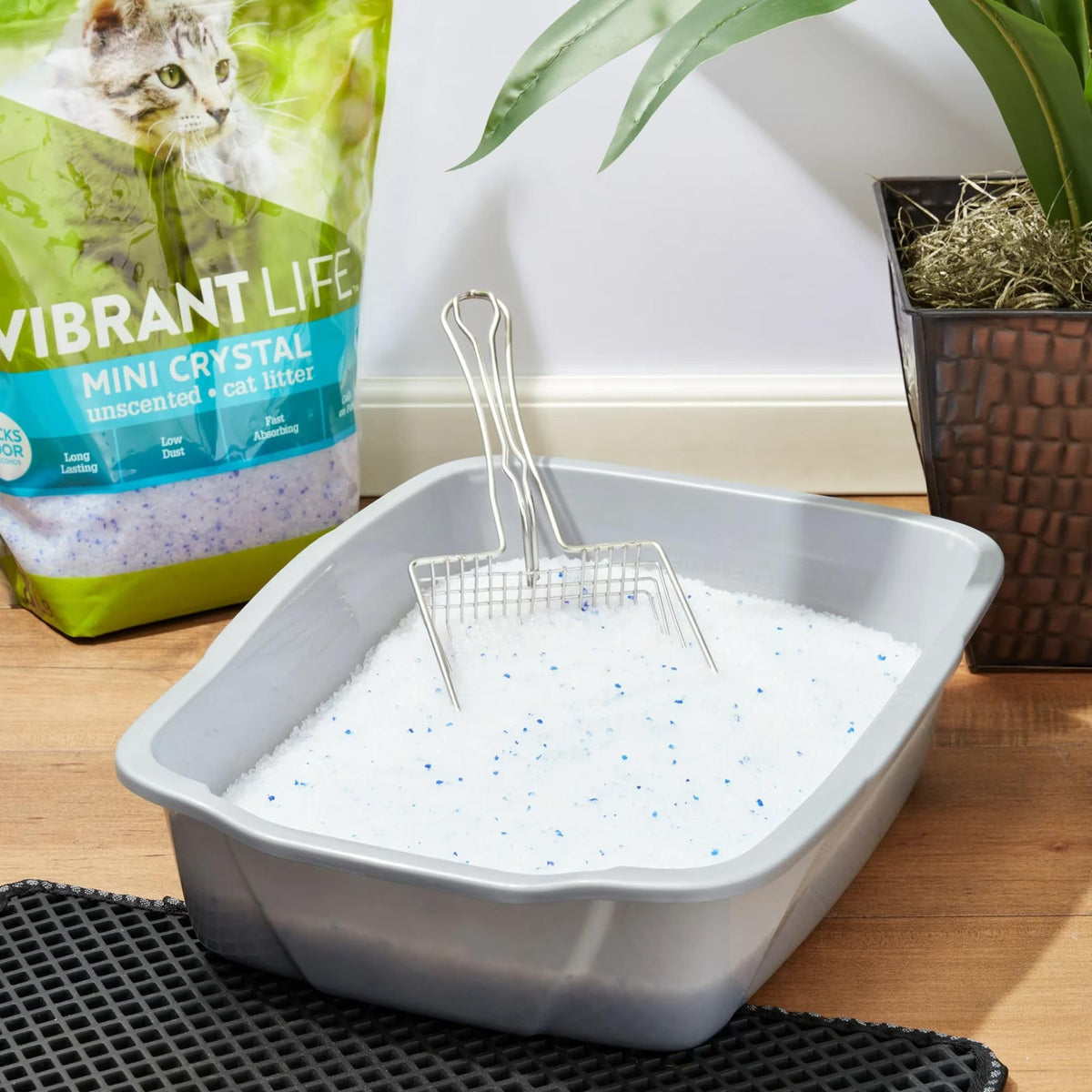 Unscented 8 lb Cat Litter V173