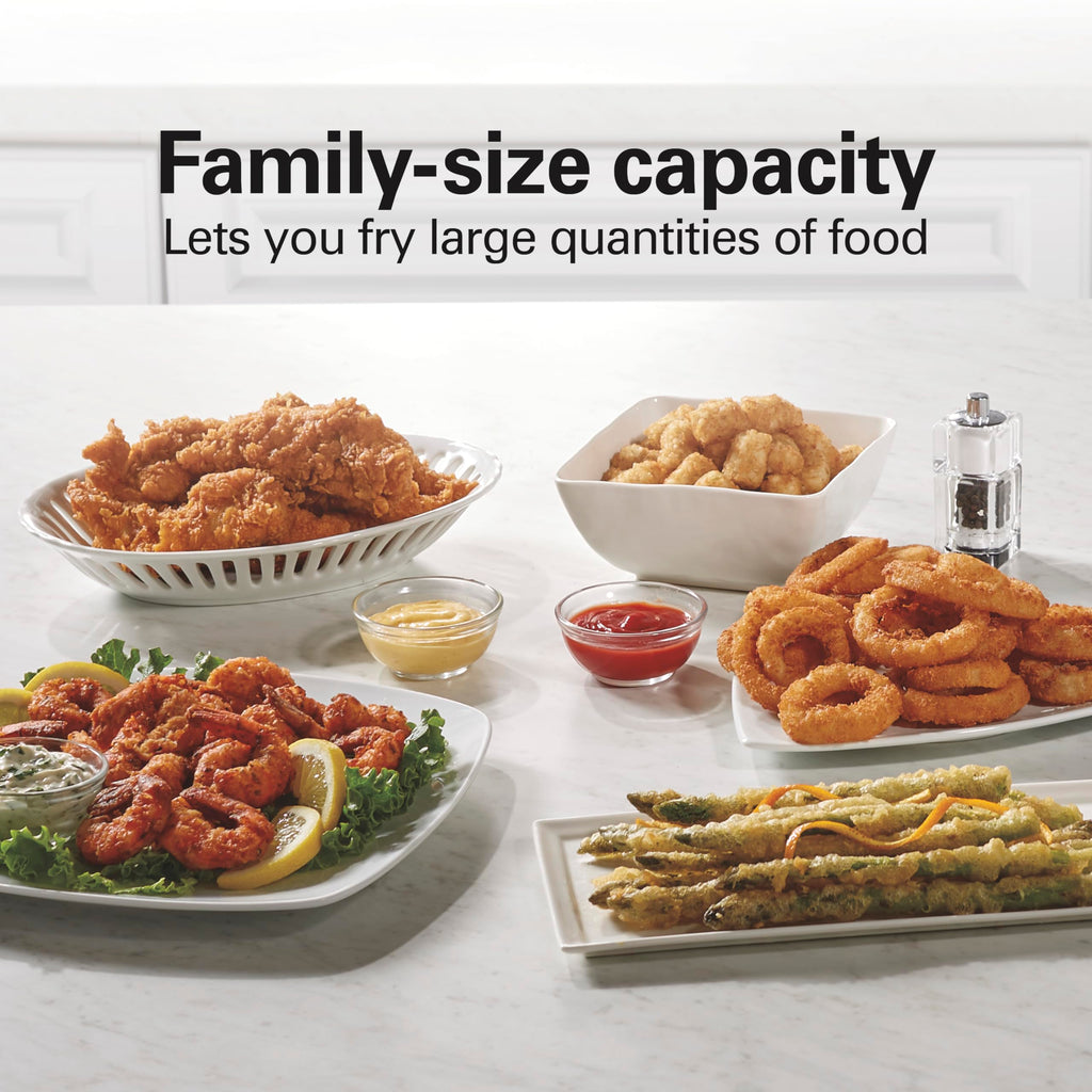3 Liter Electric Deep Fryer With Basket Q171537