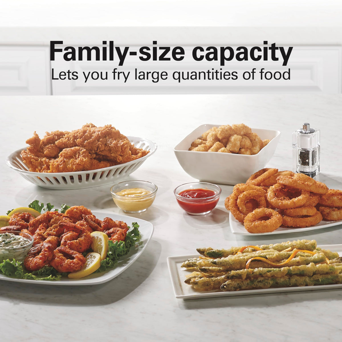 3 Liter Electric Deep Fryer With Basket Q171537