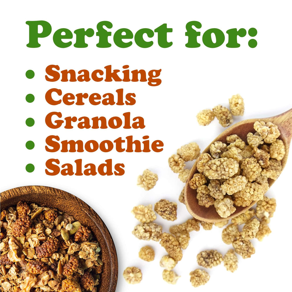 Organic Dried White Mulberries 8 Ounces S69774