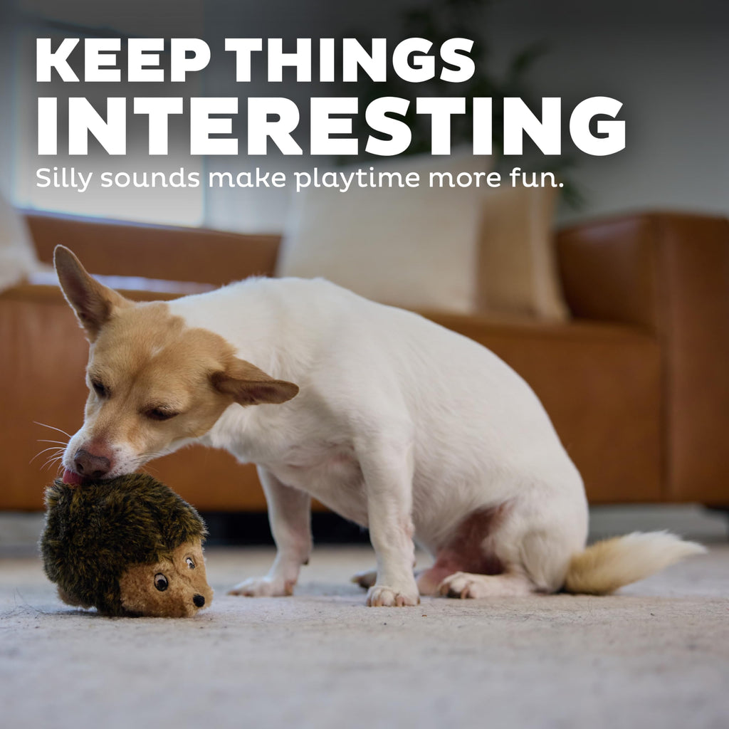Plush Dog Toy P25046