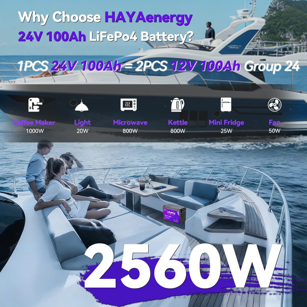 24v 100ah LiFePO4 Lithium Battery with 100A BMS T684701