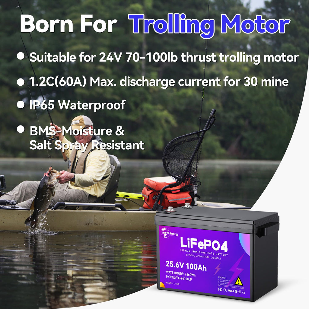 24v 100ah LiFePO4 Lithium Battery with 100A BMS T684701